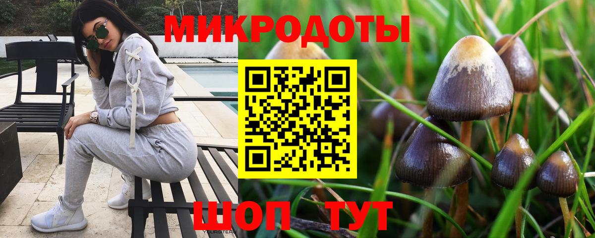 Галлюциногенные грибы Psilocybe  Вход с VPN  Галлюциногенные грибы прущие грибы  Усинск 